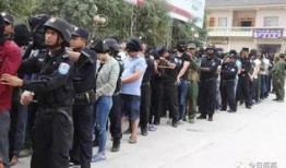 缅甸诈骗爆料视频真实吗,真相与谎言的交织